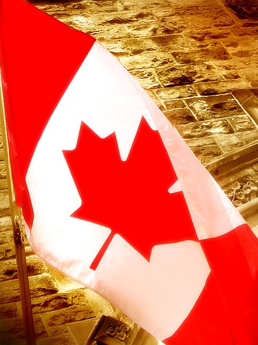 گزارش تحلیلی وضعیت مهاجران در بازار کار کانادا: بخش اول – شمای کلی