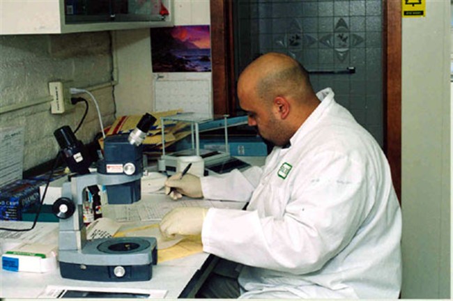 نکاتی اجمالی درباره رشته علوم آزمایشگاهی – بخش دوم: تکنسین علوم آزمایشگاهی Medical Laboratory Technician