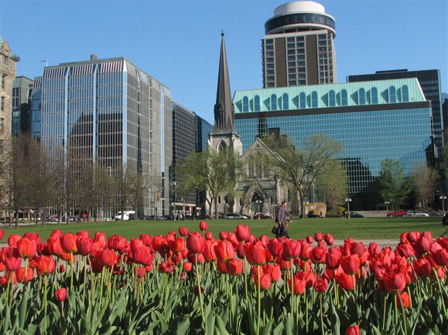 پایتخت زیبای کانادا را بهتر بشناسیم: قسمت دوم