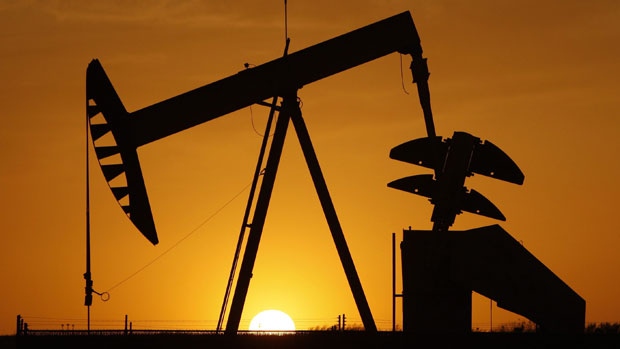 تلاطم بازار کار البرتا در پی کاهش شدید قیمت نفت