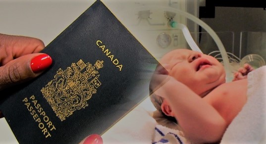 چند خبر کوتاه: کاهش تعداد پذیرش مهاجران به استان کبک/افزایش تولد نوزادان زنان غیر مقیم کانادا/…