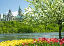 بهار در کانادا و همه تفریحاتی که می‌توانید داشته باشید